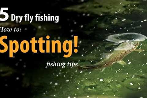 How to • Dry fly fishing • Spotting the fish • fishing tips
