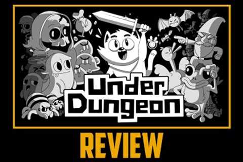 UnderDungeon Review - Zelda Meets Undertale... Plus Cats (Nintendo Switch)