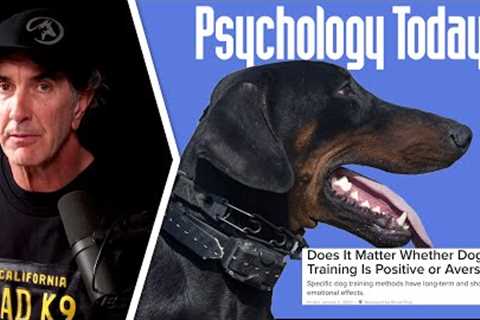 Does it Matter Whether Dog Training is Positive or Aversive?  Psychology Today MY RETORT