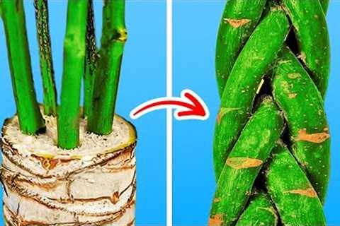 Surprising Gardening Hacks To Grow Your Own Plants