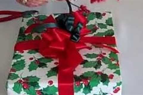 Attach a Bow to a Gift Package - Part 2