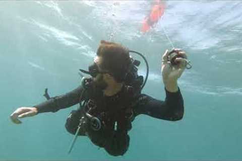 Fun Scuba Diving Tour at Lauderdale by the Sea
