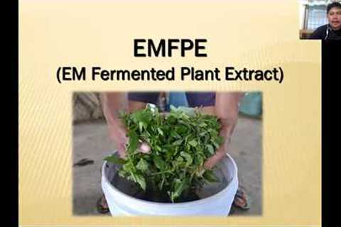 Natural Growth Promotant - EM Technology - Fermented Plant Extract (FPE)