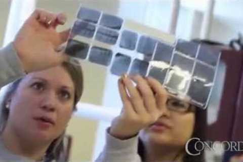 Dental Hygiene Training - Learn More | Concorde Career College