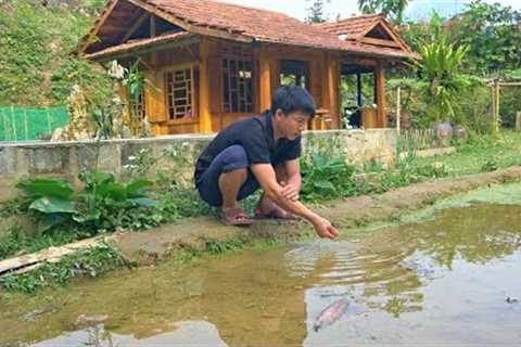 The 150-day process of building a garden into a fairyland, how things change after 2 year