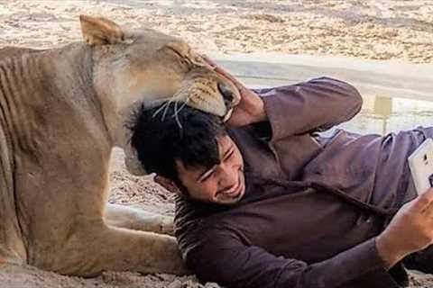 Exotic Pets In Dubai