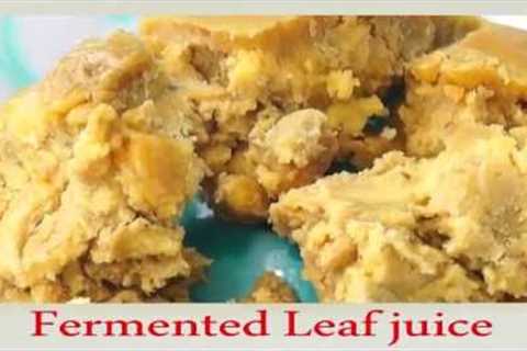 Natural Farming-How to prepare Fermented Leaf Juice