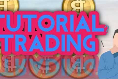 FRAUDULENT STATEMENTS TO BITCOIN GREAT INSURANCE INVESTORS AND BITCOIN GREAT INSURANCE MISAPPROPRIAT