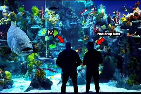 EPIC Road Trip!! MONSTER FISH at Bristol Aquarium (Day 1: Netherlands Tour)