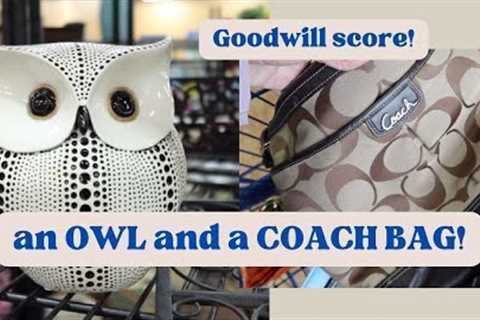 Shopping at the North Las Vegas Goodwill!