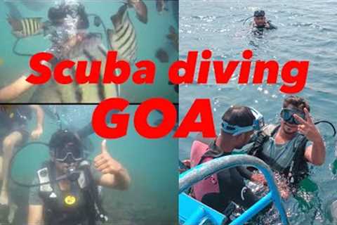 Scuba diving | Goa | Travel #goa #scubadiving #youtube