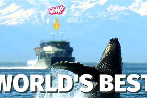 Top 7 Best Cruise Ship Destinations in the World in 2023 | Best Places 2023 | World Travel Guide