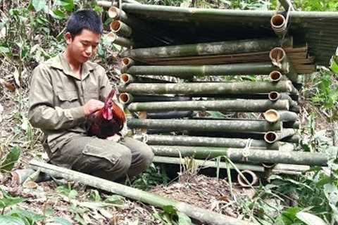 Survival skills, build a bamboo coop for wild chickens, survive alone in the wilderness