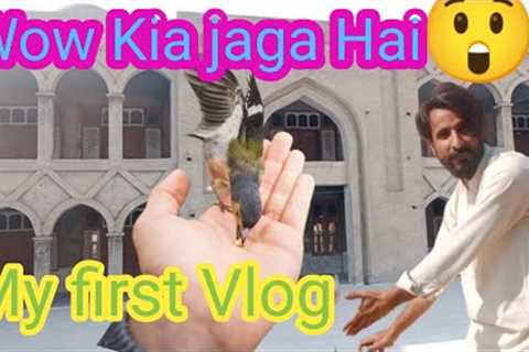 My first vlog part 8 Traveling Sui to sibi