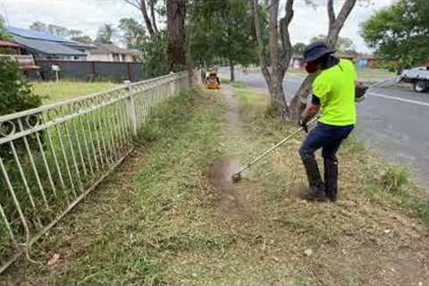 It hasn't been Mowed in 2 YEARS!