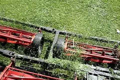 7 gang reel lawn mower. Part 1 cutting grass
