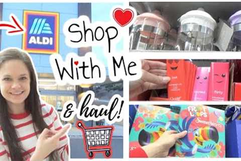 NEW💕 items at Aldi 2023! | Grocery Shop with me &amp; Haul!
