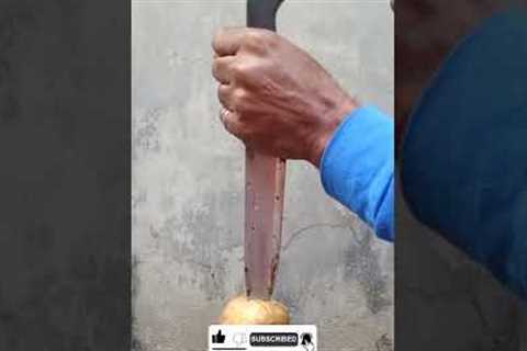 AMAZING SCIENCE TRICKS 💥 - Watch These Now And You'll Be In Stupefied amazement! #shortsexperiments