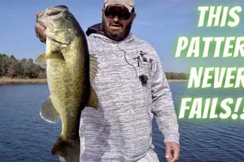 Lake Fairfield Bass Fishing: Winter Warming Trend, Chatterbaits and Grass Always Produce Big Bass!!!