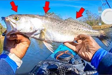 I Caught A HUGE FISH Then Cooked It! DELICIOUS CATCH AND COOK! feat. @southernsalt Hood Wink Baits