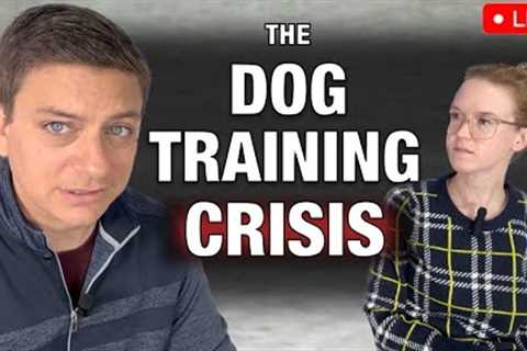 Having a 3 hour meltdown over dog training.