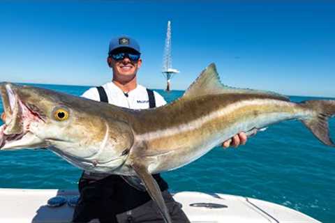 ABANDONED Millitary Towers LOADED with Fish! Catch Clean Cook- Cobia