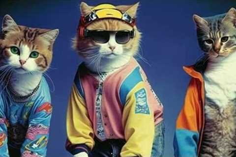 Best Funniest Videos 2023 😂 Cute Cats 🐱 and Funny Dogs 🐶 Funny animals #youtube #top10