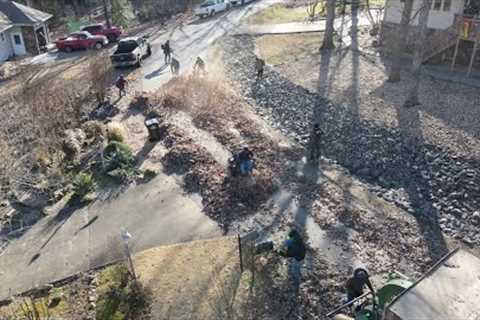 Contractors STARE in AWE. Neighborhood TAKEOVER 3 lawns beside each other. LEAF CLEAN UP CURBSIDE