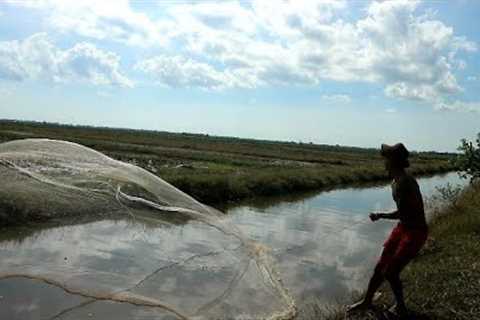 We catch alot of fish by cast net and after we are eating delicious