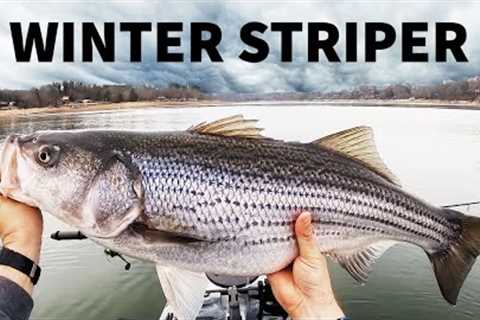 Striped bass winter fishing (Boone Lake, TN)