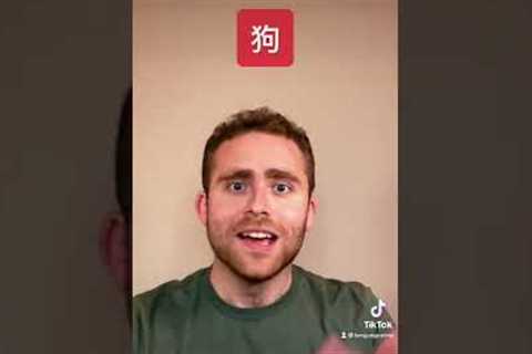 Proof That Chinese is the Easiest Language