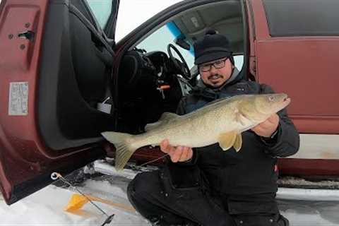 Lower Red Lake (Dead Sticks For Walleye)