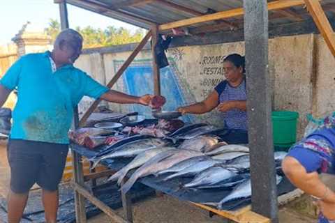 Giant Trevally 35 LBS/$150 Fish Fillet Primitive Ways।Large &amp; Big Trevally Fish Fillet Fish..