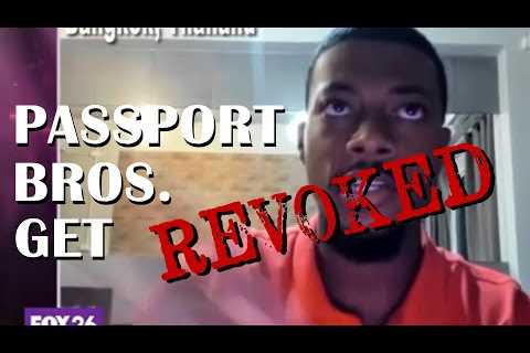 Passport Bros Get Canceled  @AustonHolleman