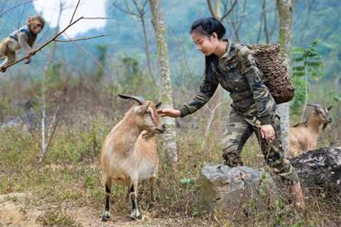 Go to a Village and Buy Rice - Cook a Delicious Meal and Enjoy, Part 8