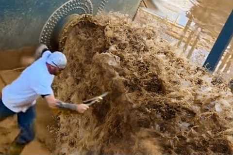Most Ridiculous Workers’ Mistakes Caught on Camera