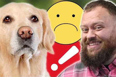 Harmful Things You Do To Your Dog By Mistake