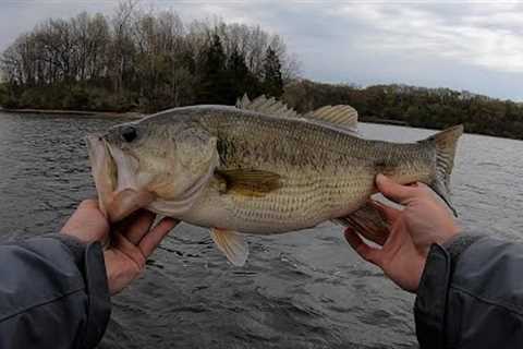 Inland Lake Fishing Moving Baits