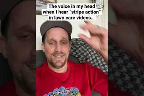 More like stRop action…🙄🤦‍♂️ #shorts #youtube #lawncare
