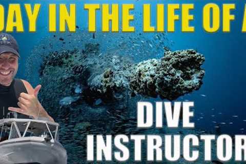 Day In The Life Of A SCUBA DIVE INSTRUCTOR