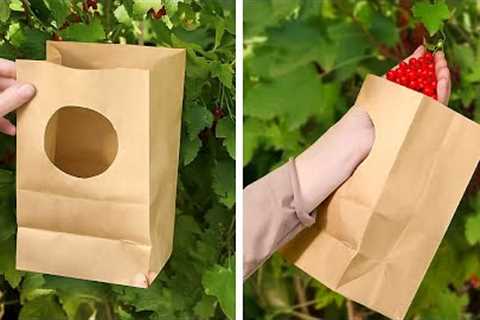 The Easiest Gardening &amp; Harvesting Hacks To Save Your Time
