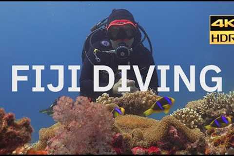 Scuba Diving in Fiji with Paradise Taveuni | Rainbow Reef in 4K HDR | May 2022