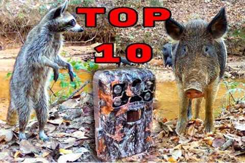 Best Trail Camera Videos of 2022