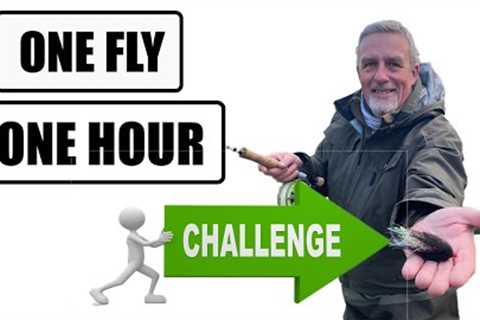 Fly Fishing For one hour with one fly challenge #flyfishing #fishing #catchandrelease