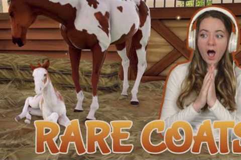 BREEDING BEAUTIFUL RARE HORSES AND COATS - Rival Stars Horse Racing | Pinehaven