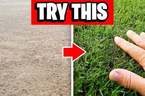 Lawn Care Tips for Greenest Spring Lawn