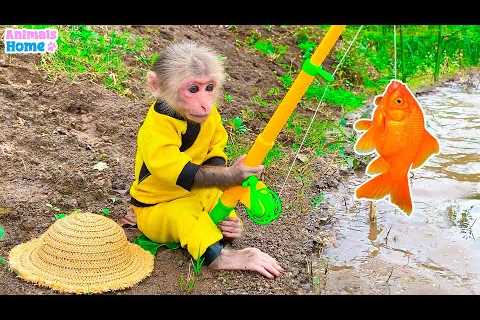 Bin Bon duck Monkey Baby Kittens Puppy Goes Koi Cat And swims Rabbits Animals Eats Eggs