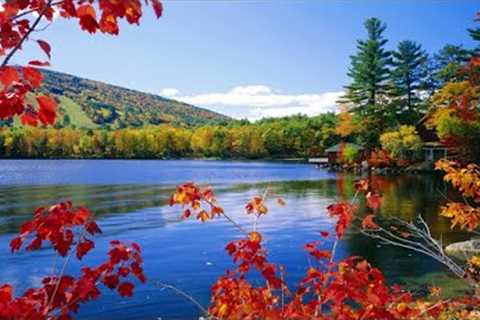 Beautiful Relaxing Music Stress Relief - Soothing Music With Nature Sound &amp; Calm The Mind, 42