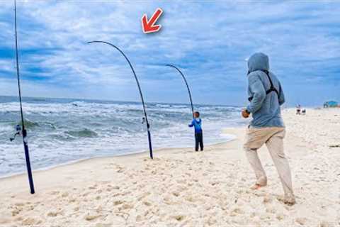 This Beach Was LOADED With Fish! *nonstop action*