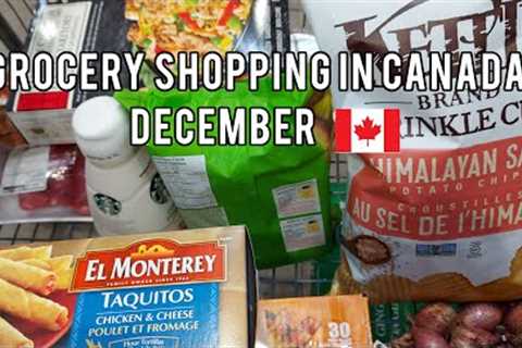 Grocery Shopping Trips in Canada 🛒Summary of December shopping